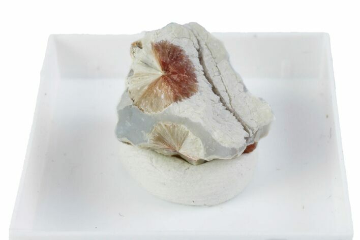 Orange Ferrierite-Mg Aggregates on Chalcedony - Canada #380167